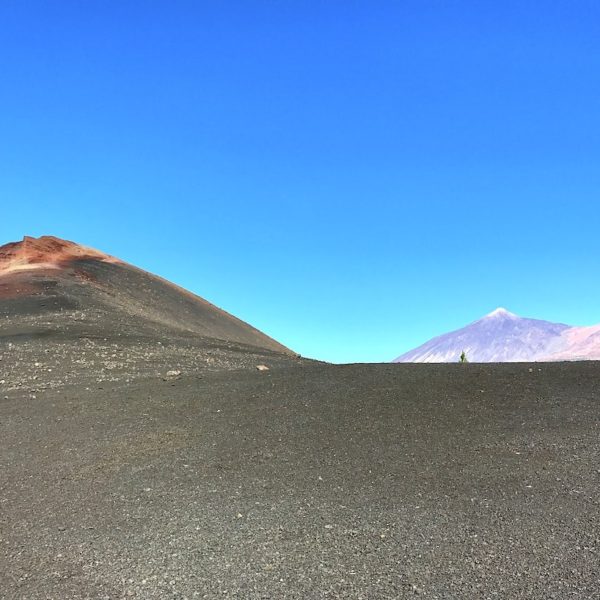 Wandern Teneriffa Chinyero Aschenkegel