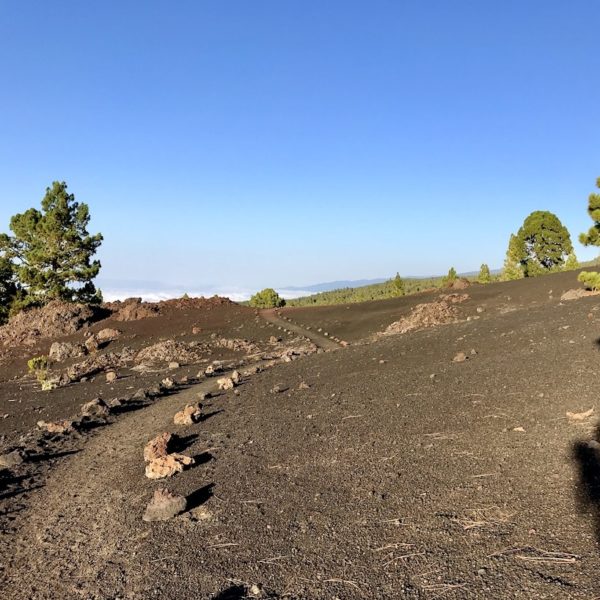 Wanderung Arenas Negras Chinyero Parque Nacional del Teide