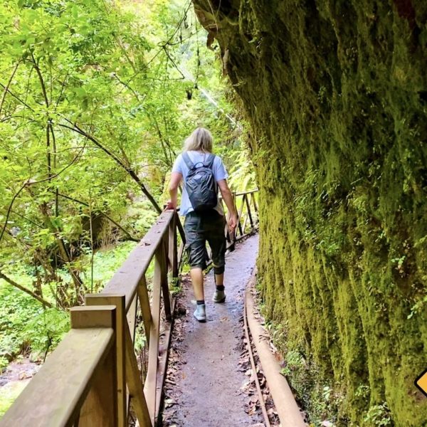 Wanderung Los Tilos