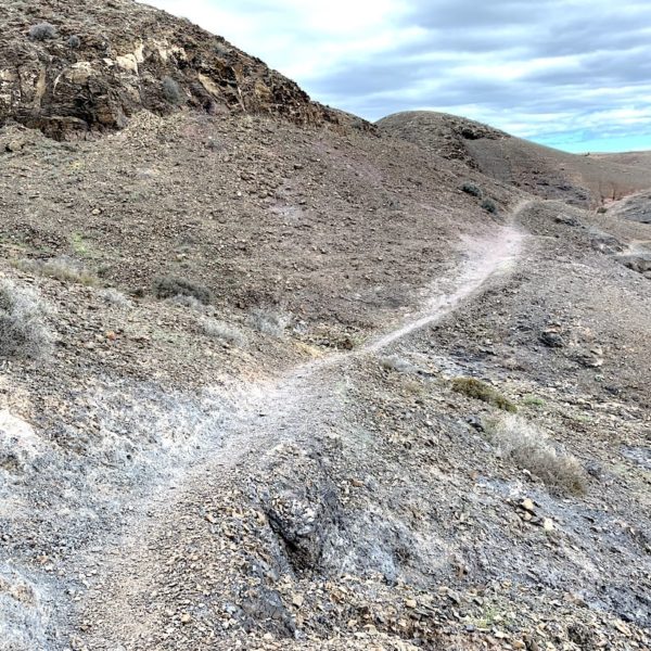 Wanderung Playas de Papagayo Lanzarote
