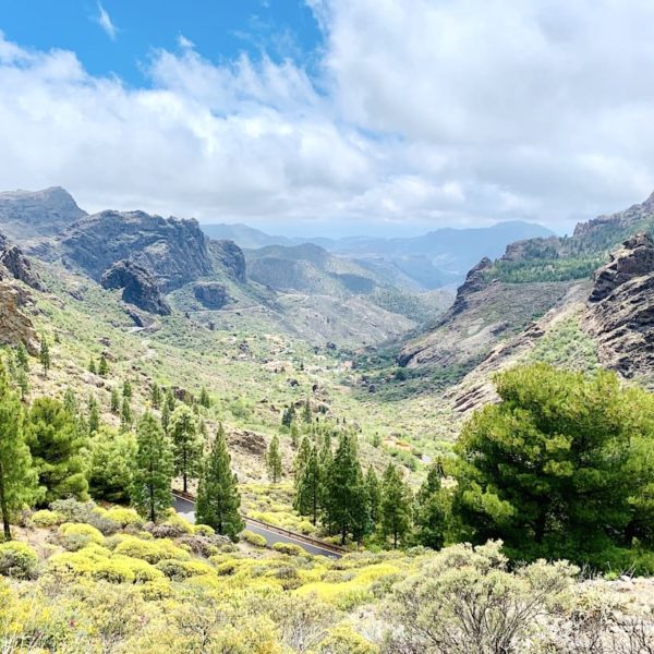 Wanderung Roque Nublo Ausblick Landschaft