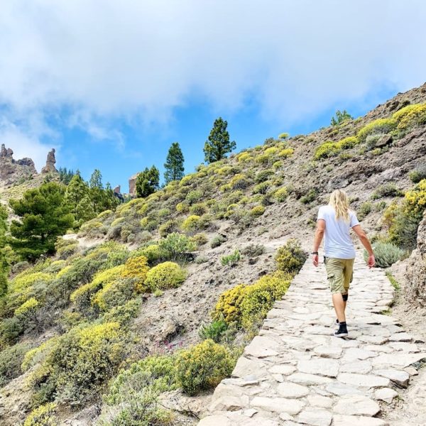 Wanderung Roque Nublo Gran Canaria Weg