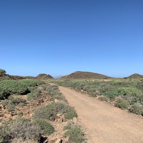 Wanderung Weg Isla de Lobos