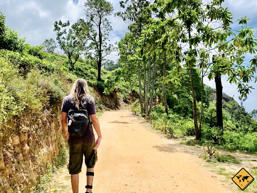 Wanderweg Little Adam's Peak Anfang