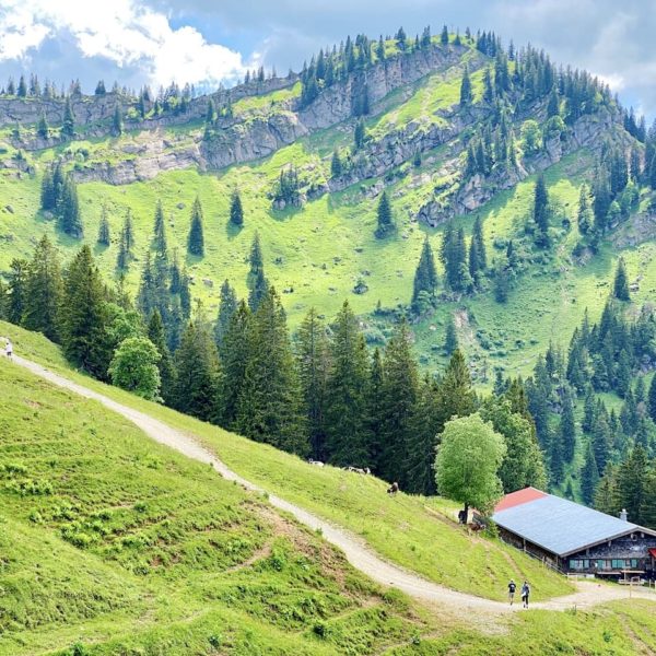 Wanderweg zum Hochgrat