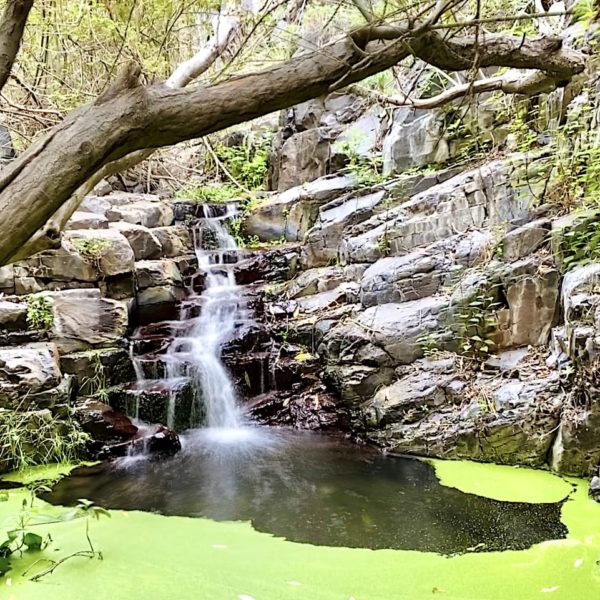 Wasserfall La Gomera Barranco de Arure
