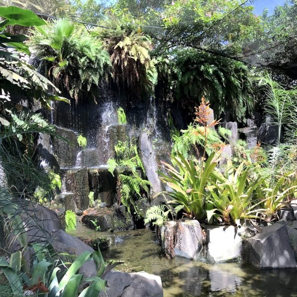 Wasserfall Palmetum Teneriffa