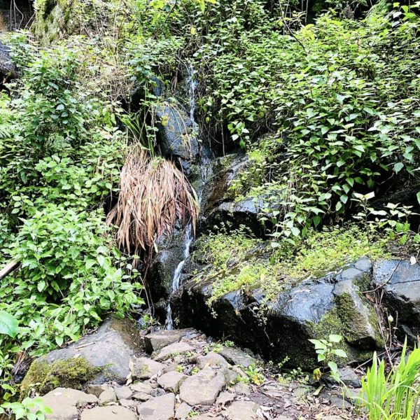 Wasserfall Presa de los Tiles