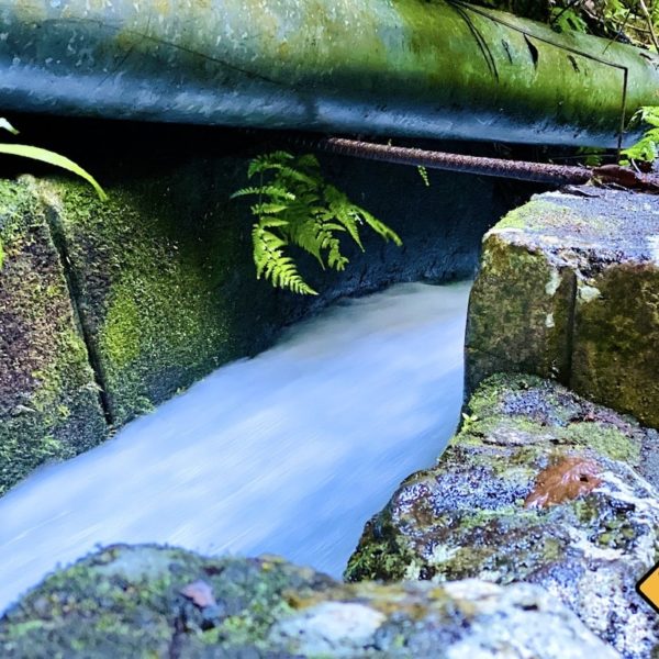 Wasserkanal Los Tilos La Palma
