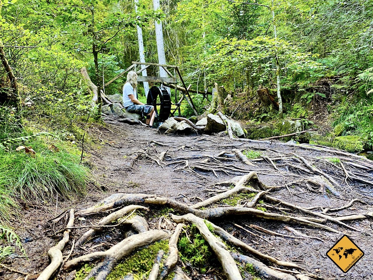 Wasserrad Wurzeln Zauberwaldpfad Schwarzwald