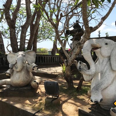 Waterblow Nusa Dua Park Elefanten