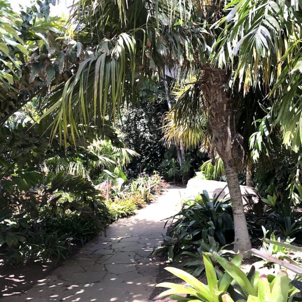 Weg Botanik Palmetum Santa Cruz