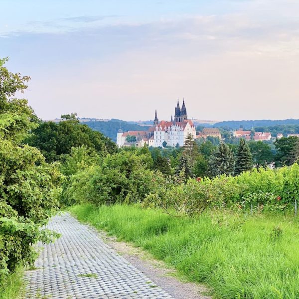 Weg Boxberg Katzenstufen