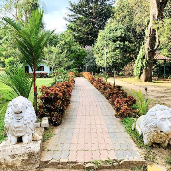 Weg Löwen Staturen Kandy Sri Lanka