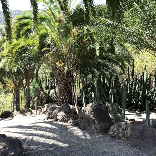 Weg Parque del Drago