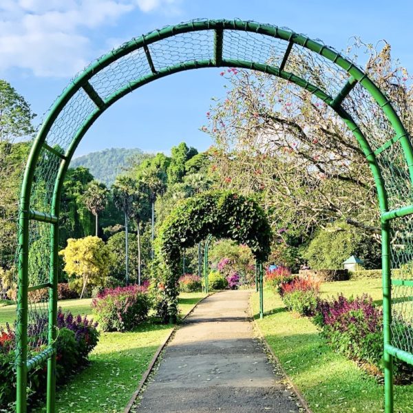 Weg Royal Botanic Garden Kandy