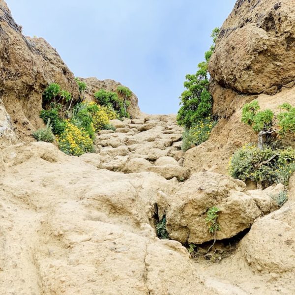 Weg Wanderung Roque Nublo