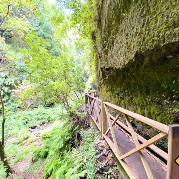 Weg Wasserfall Los Tilos La Palma