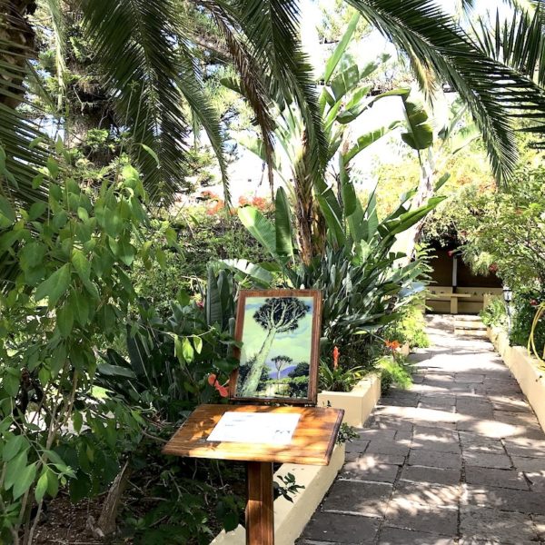 Weg botanischer Garten Teneriffa Sitio Litre