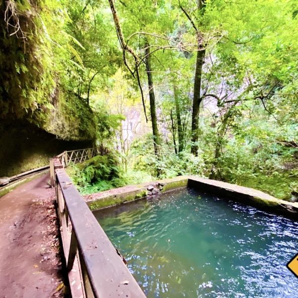 Weg zum Wasserfall glitschig