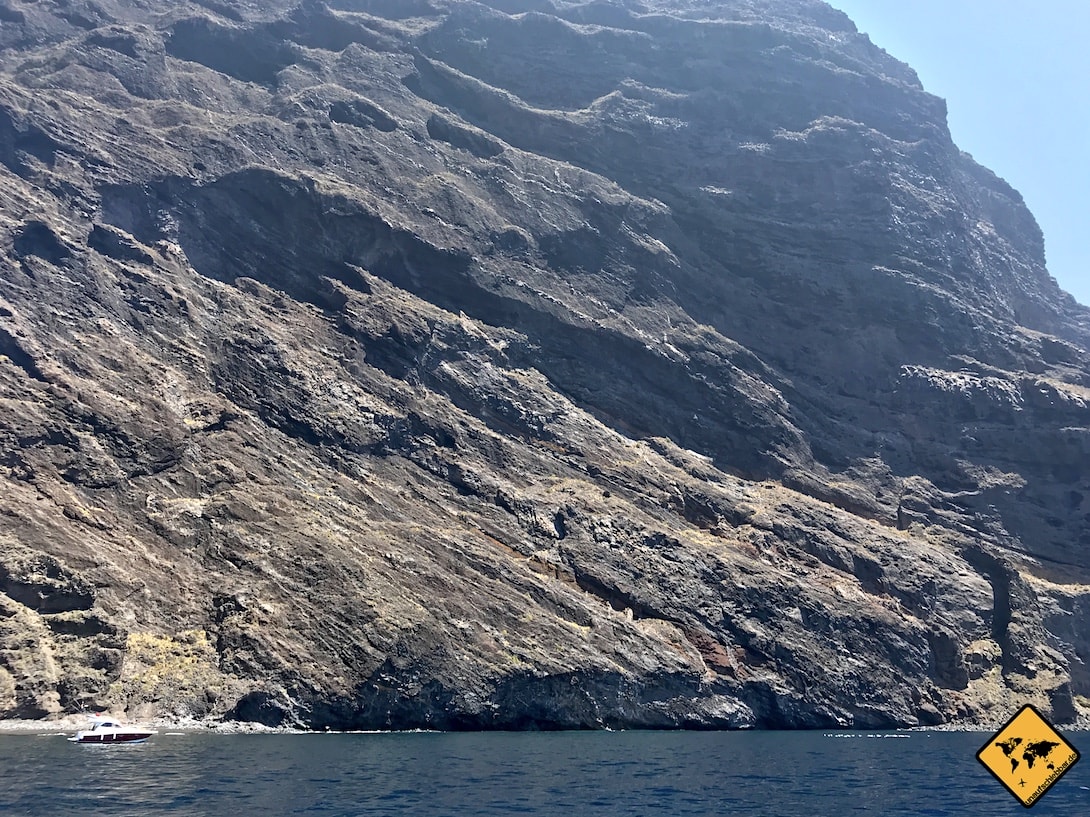 Whale Watching Los Gigantes