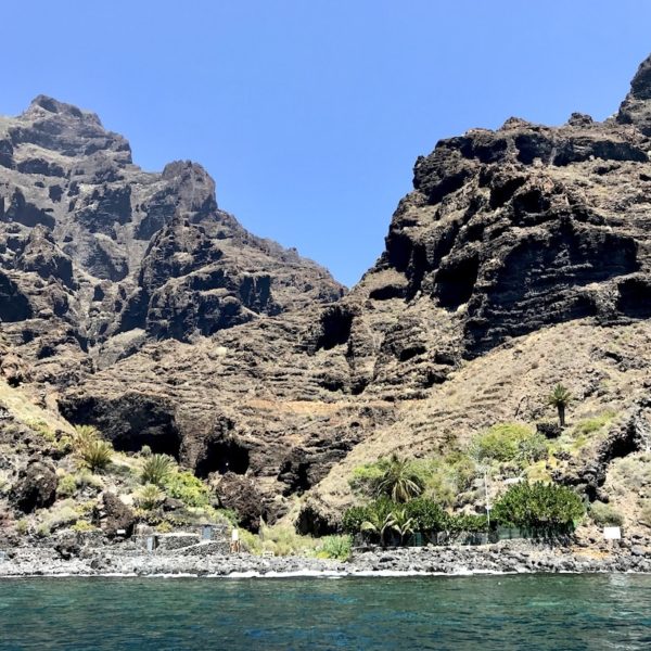 Whale Watching Masca Schlucht Teneriffa