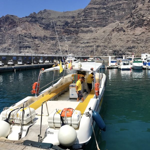 Whale Watching Teneriffa Motorboot Flipper Uno