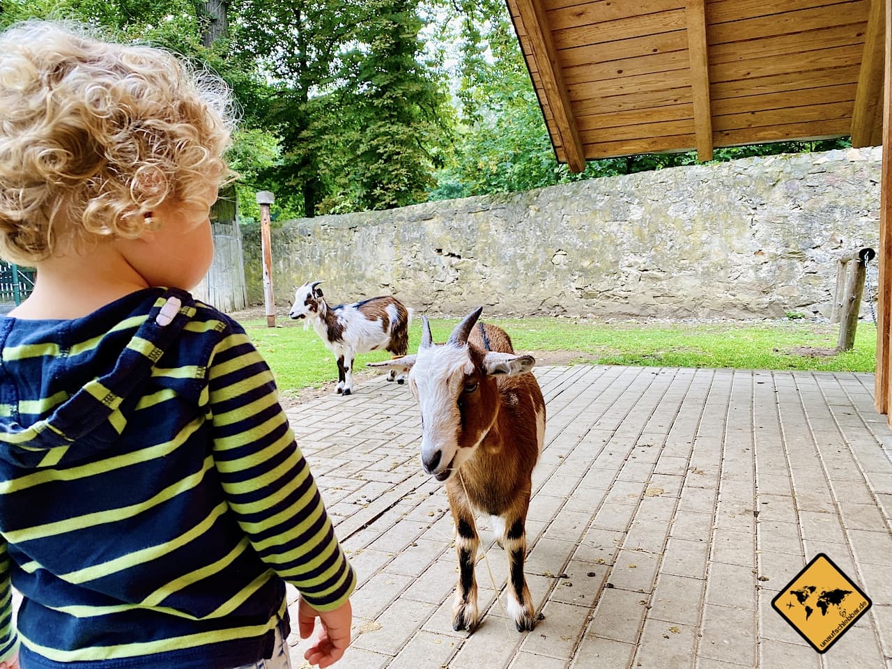 Wildgehege Moritzburg Streichelzoo