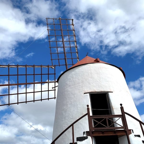 Windmühle Jardín de Cactus Lanzarote
