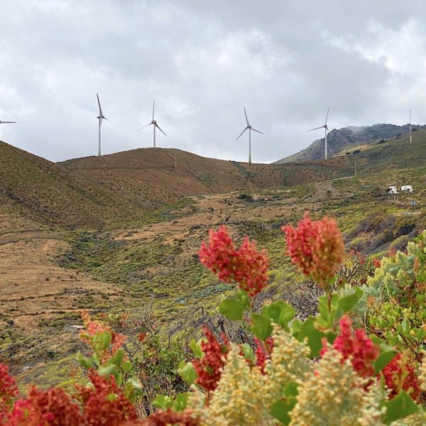 Windräder El Hierro Nachhaltigkeit