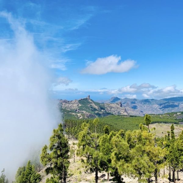 Wolke Pico de las Nieves Gran Canaria