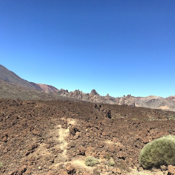 Zapato de La Reina Lava Teide Nationalpark