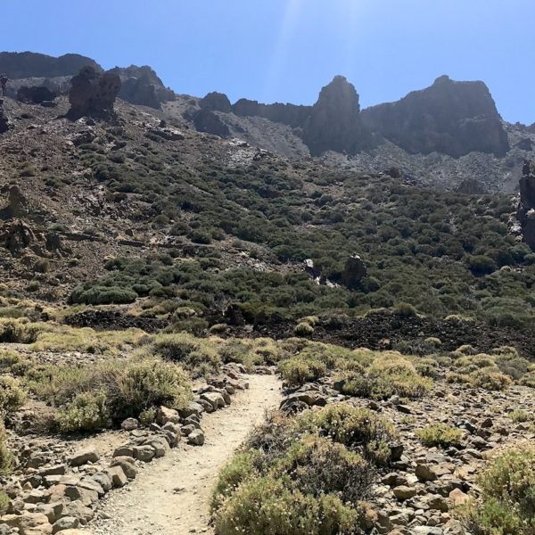 Zapato de La Reina Wanderweg Nationalpark Teide
