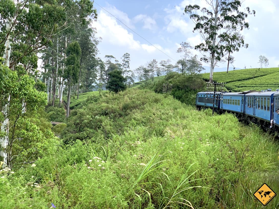 Zugfahrt von Kandy nach Ella Natur